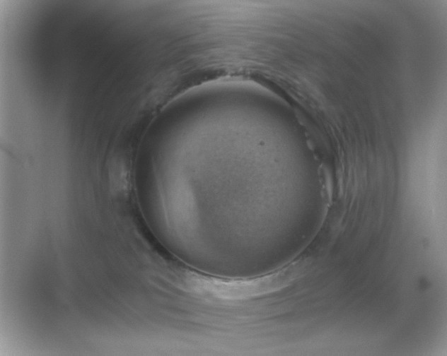 X0000068850039200605051224