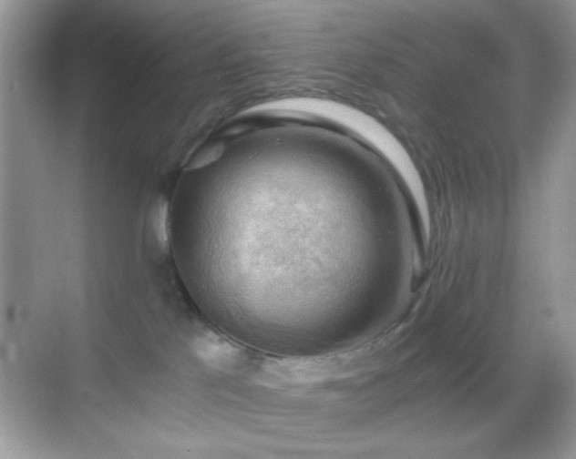 X0000068850041200605051224