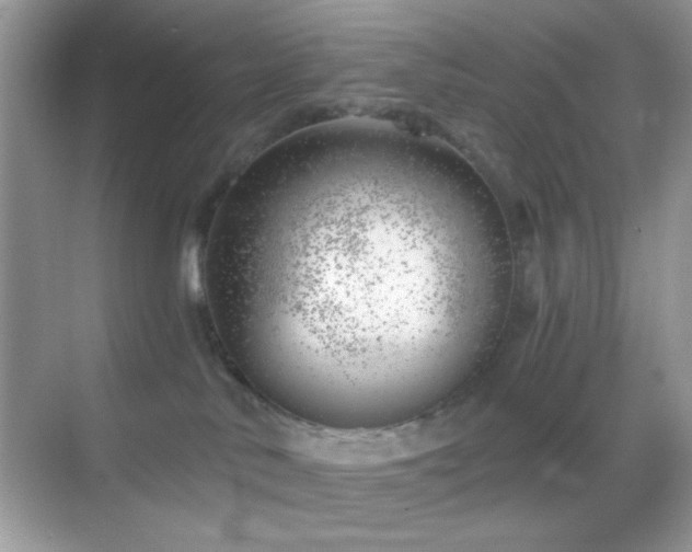 X0000068850042200605051224