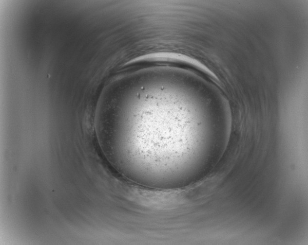 X0000068850044200605051224