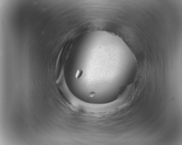 X0000068850045200605051224