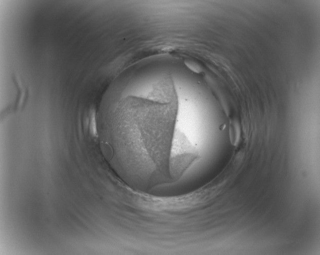 X0000068850046200605051224