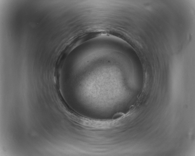 X0000068850048200605051224