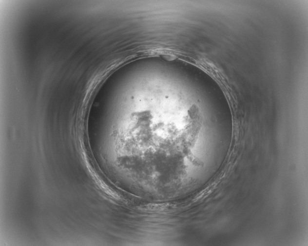 X0000068850049200605051223