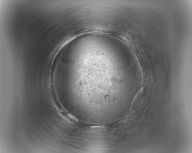 X0000068850050200605051223