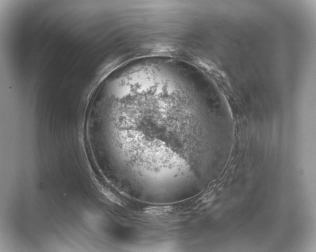 X0000068850051200605051223