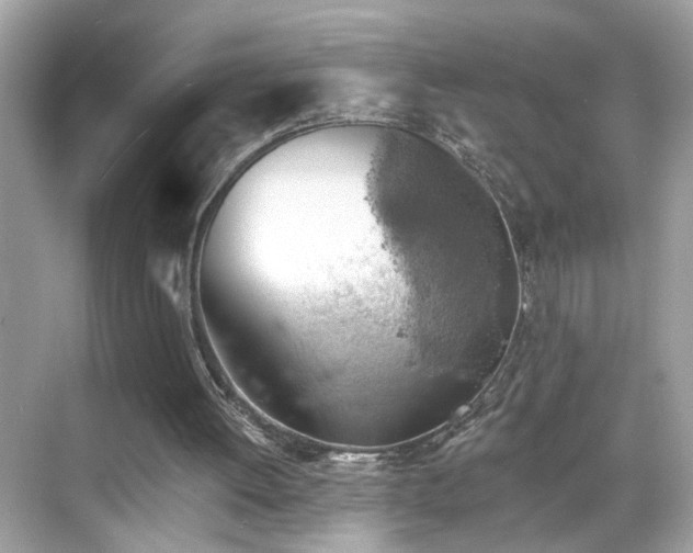 X0000068850052200605051223