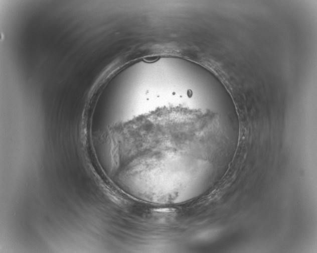 X0000068850053200605051223