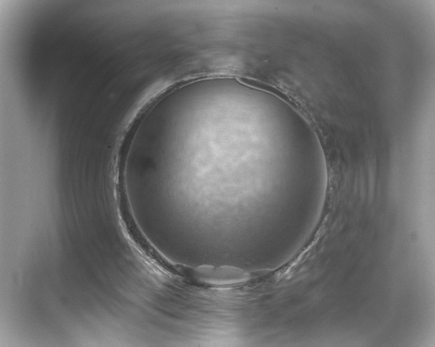 X0000068850054200605051223