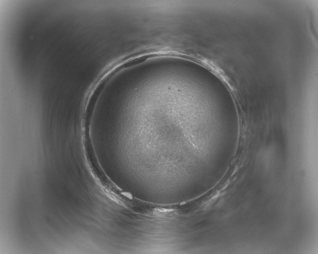 X0000068850055200605051223