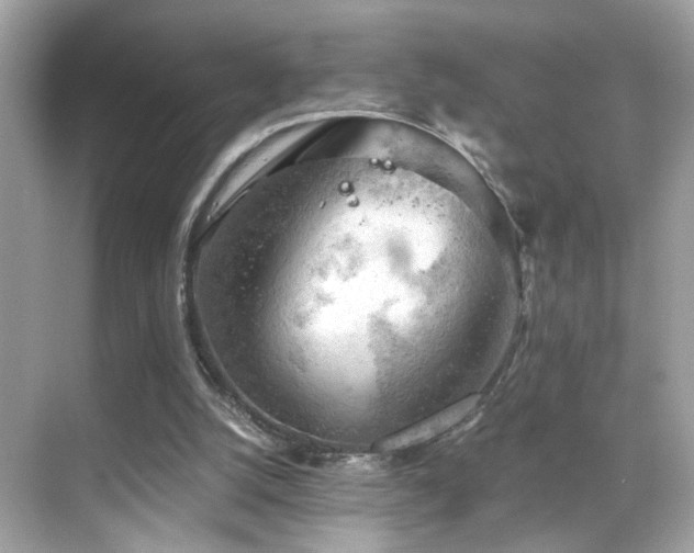 X0000068850056200605051223