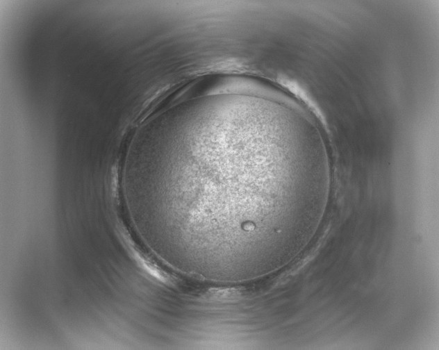 X0000068850057200605051223