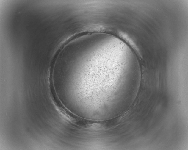 X0000068850058200605051223