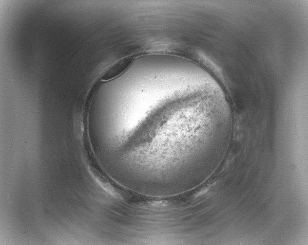 X0000068850059200605051223