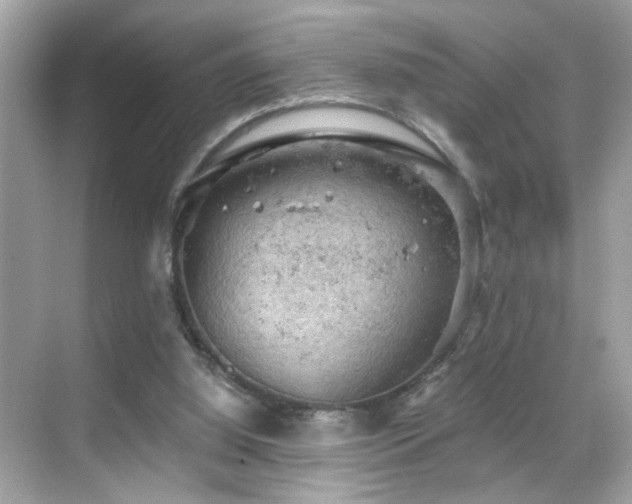 X0000068850060200605051223