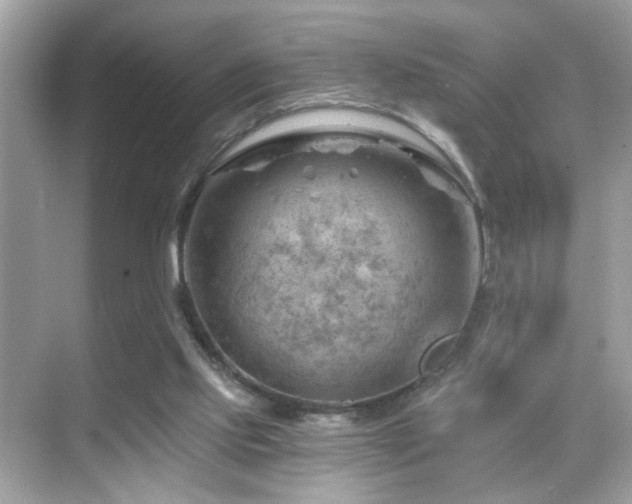 X0000068850061200605051223