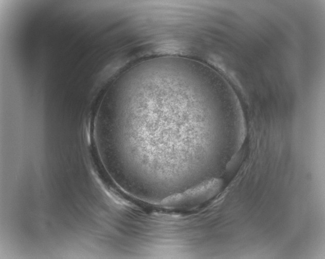 X0000068850062200605051223