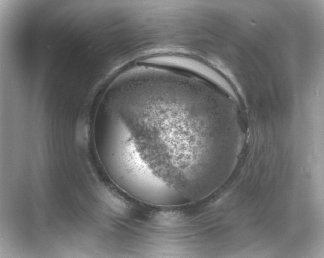 X0000068850063200605051223