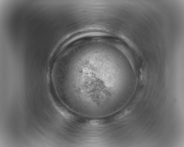 X0000068850064200605051223