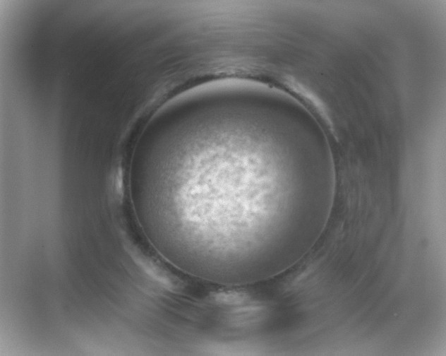 X0000068850067200605051223