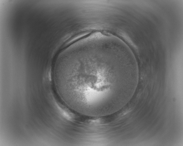 X0000068850068200605051223