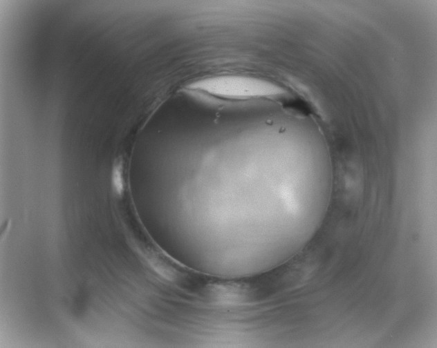 X0000068850069200605051223