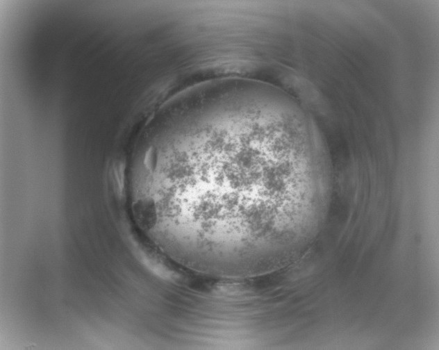 X0000068850070200605051223