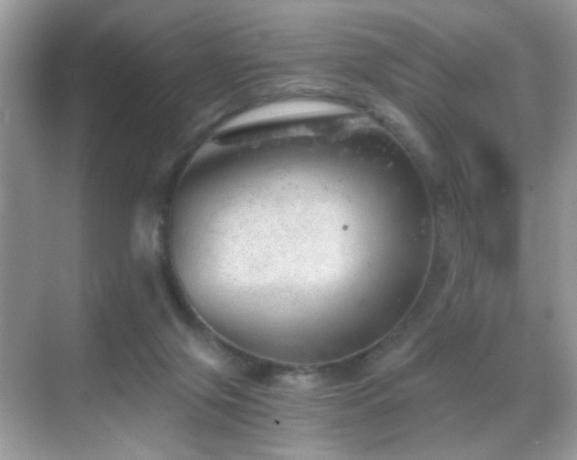 X0000068850071200605051223