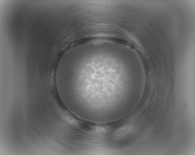 X0000068850073200605051223