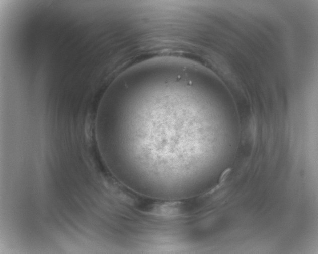 X0000068850078200605051224