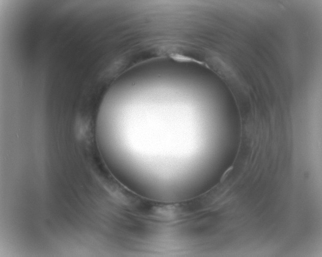 X0000068850079200605051224