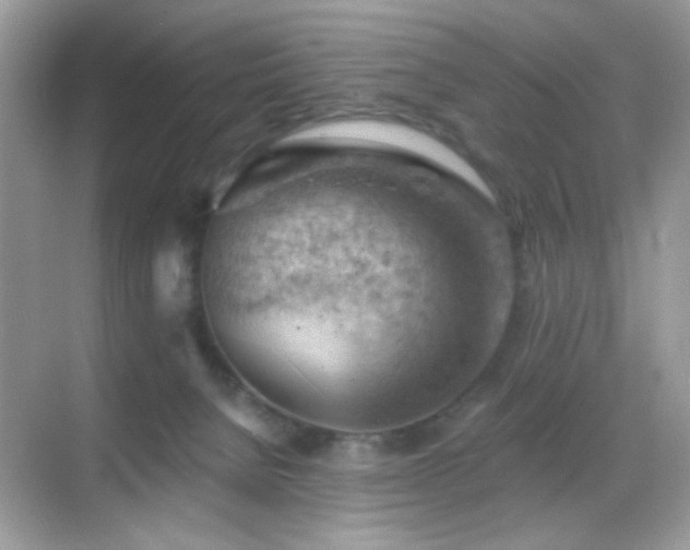 X0000068850080200605051224