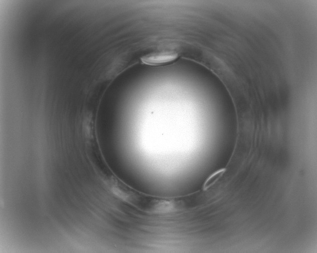 X0000068850083200605051224