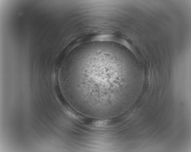 X0000068850084200605051224