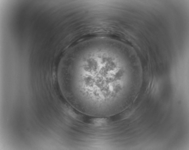 X0000068850085200605051224