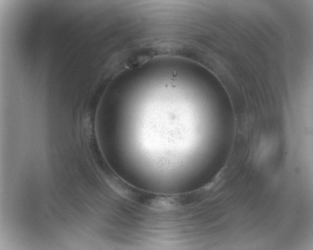 X0000068850086200605051224