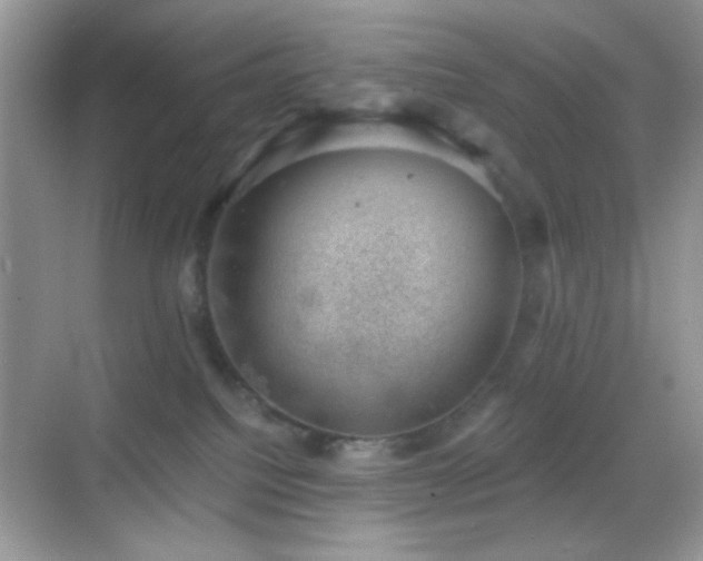 X0000068850088200605051224