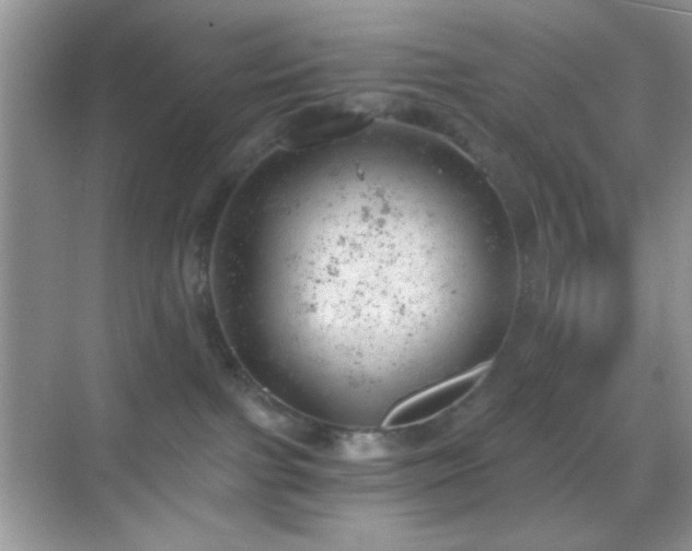 X0000068850091200605051224