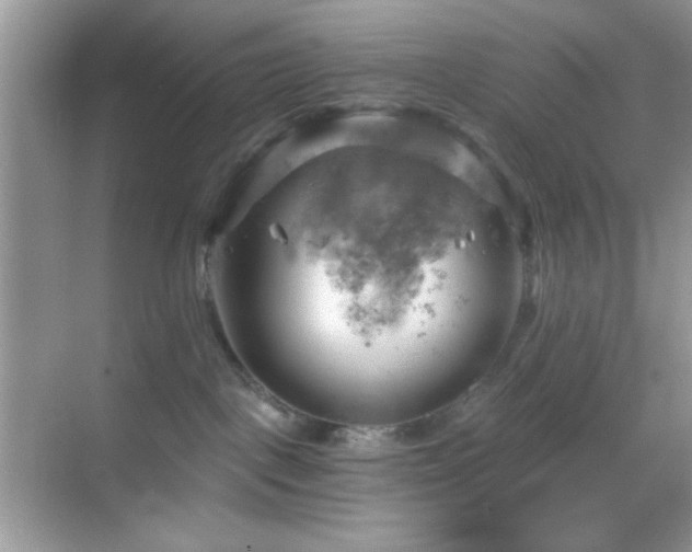 X0000068850093200605051224