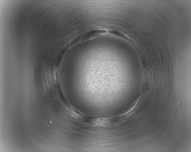 X0000068850094200605051224