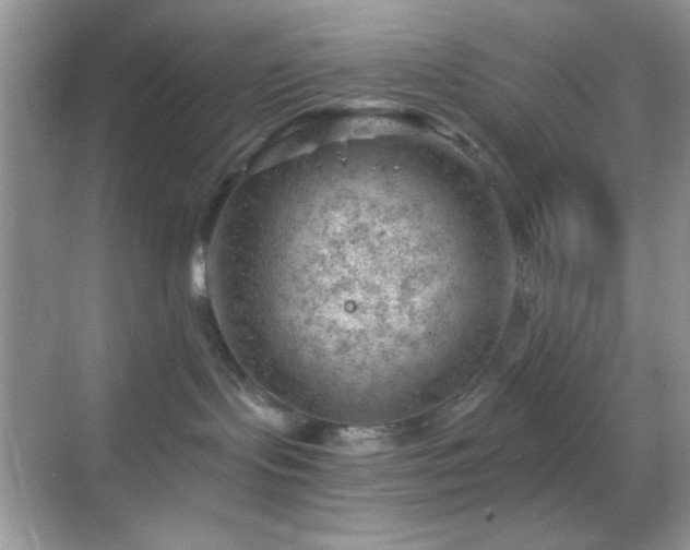 X0000068850095200605051224