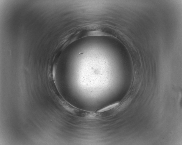 X0000068850096200605051224