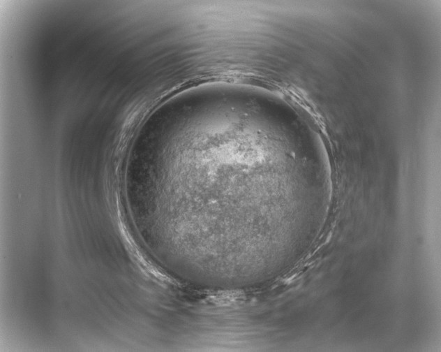 X0000068850097200605051223