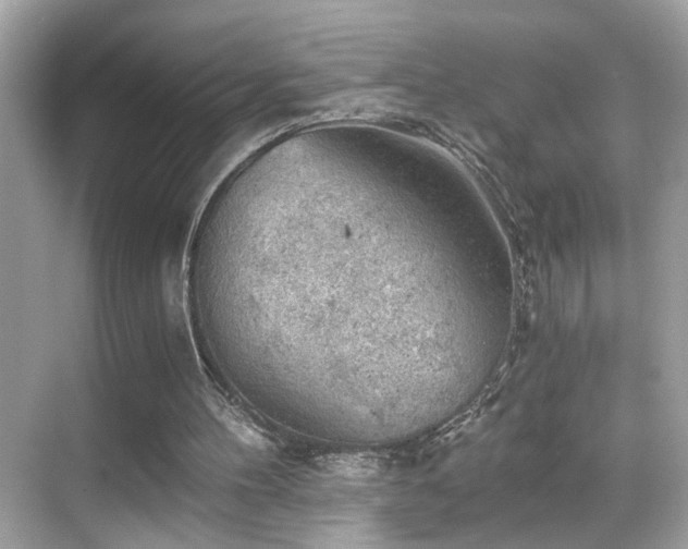 X0000068850100200605051223