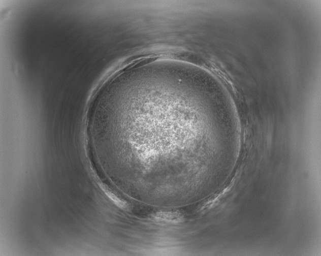 X0000068850101200605051223