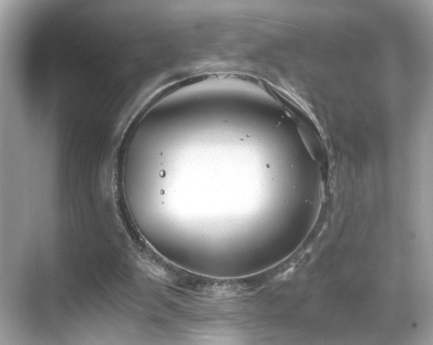 X0000068850103200605051223