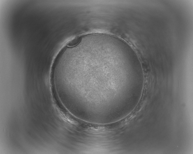 X0000068850104200605051223