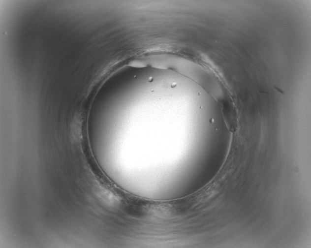 X0000068850106200605051223