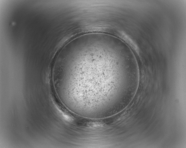 X0000068850107200605051223