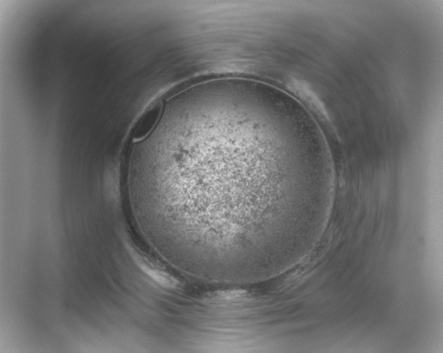 X0000068850108200605051223